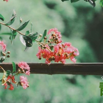 bsport体育在线登录下载手机版